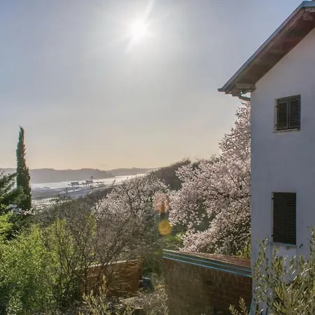 House In The Vineyards Ferienhaus *