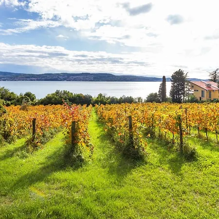 House In The Vineyards *